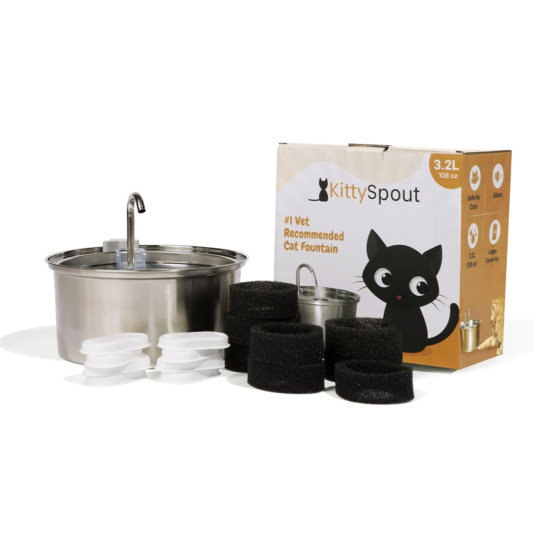 Der KittySpout™