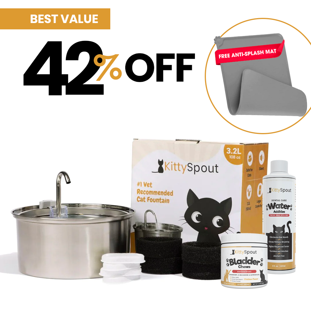 The KittySpout™ - Health & Happiness Cat Kit