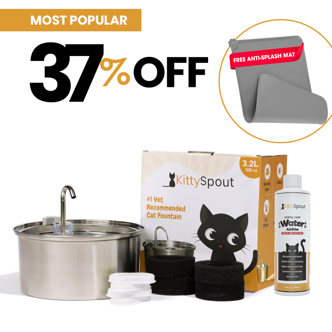 The KittySpout™ - Health & Happiness Cat Kit