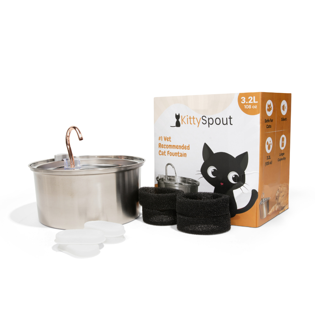 The KittySpout™ 3.2L - Health & Happiness Cat Kit