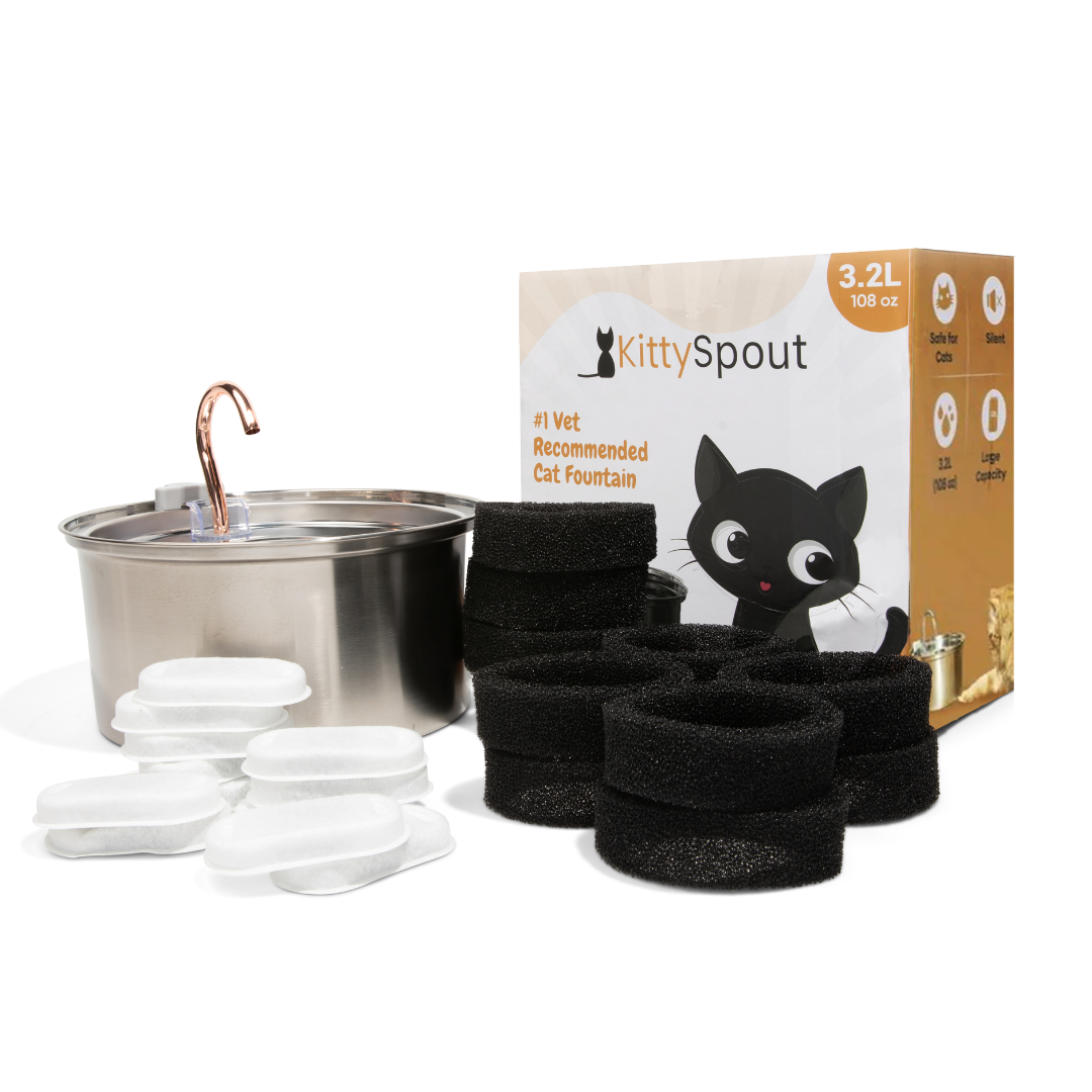 The KittySpout™ 3.2L - Health & Happiness Cat Kit