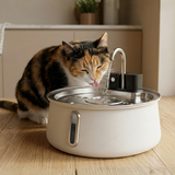 Der KittySpout™ – kabelloser Trinkbrunnen 2.0 thumbnail