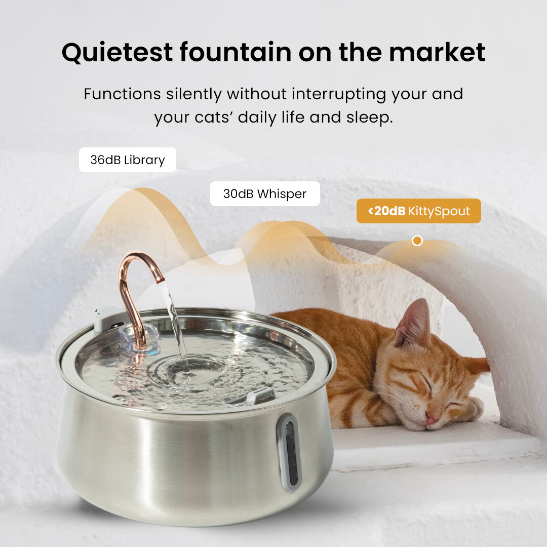 The KittySpout™ 2.0 - Health & Happiness Cat Kit