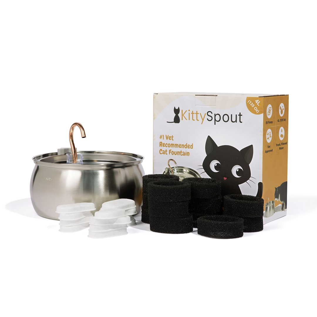 The KittySpout™ - Health & Happiness Cat Kit