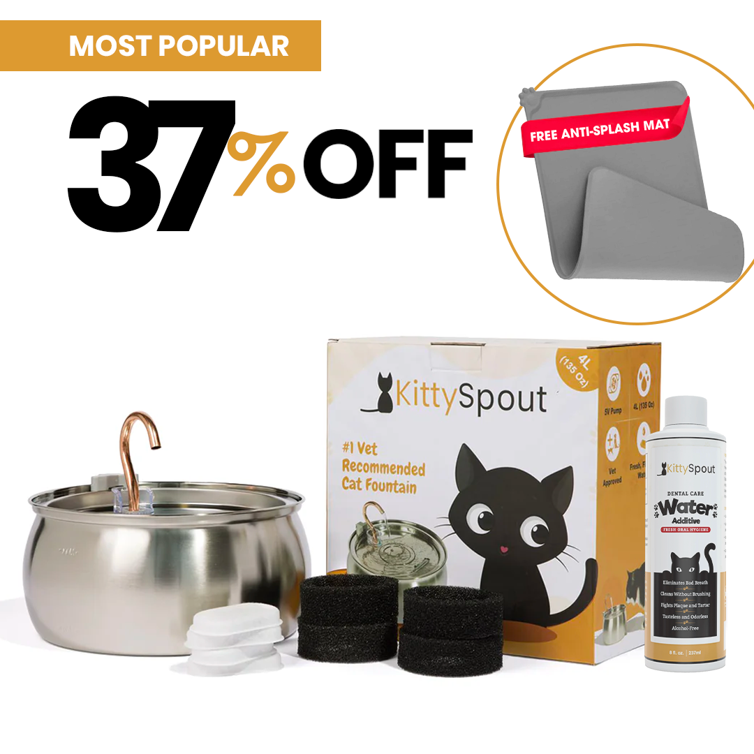 The KittySpout™ - Health & Happiness Cat Kit