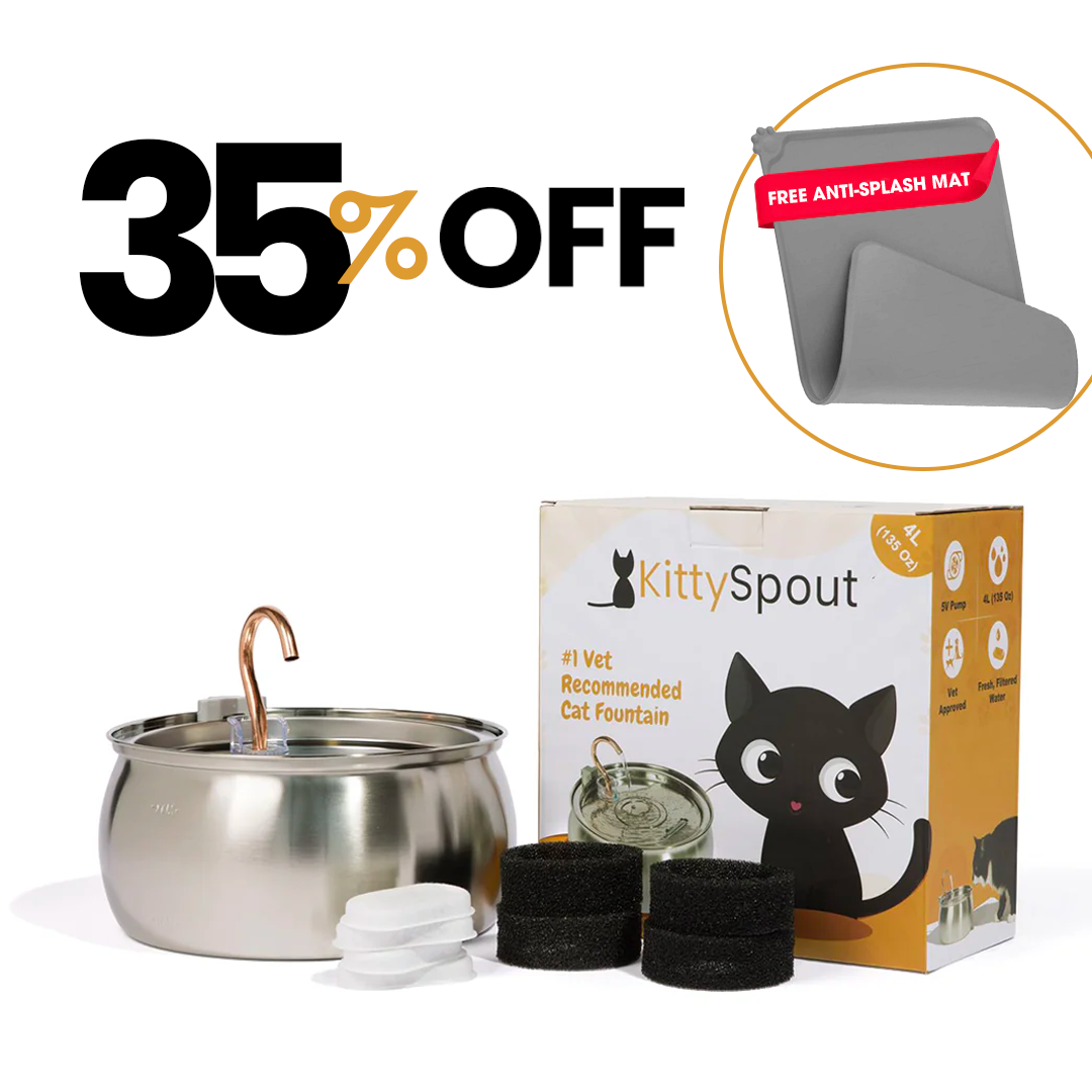 The KittySpout™ - Health & Happiness Cat Kit