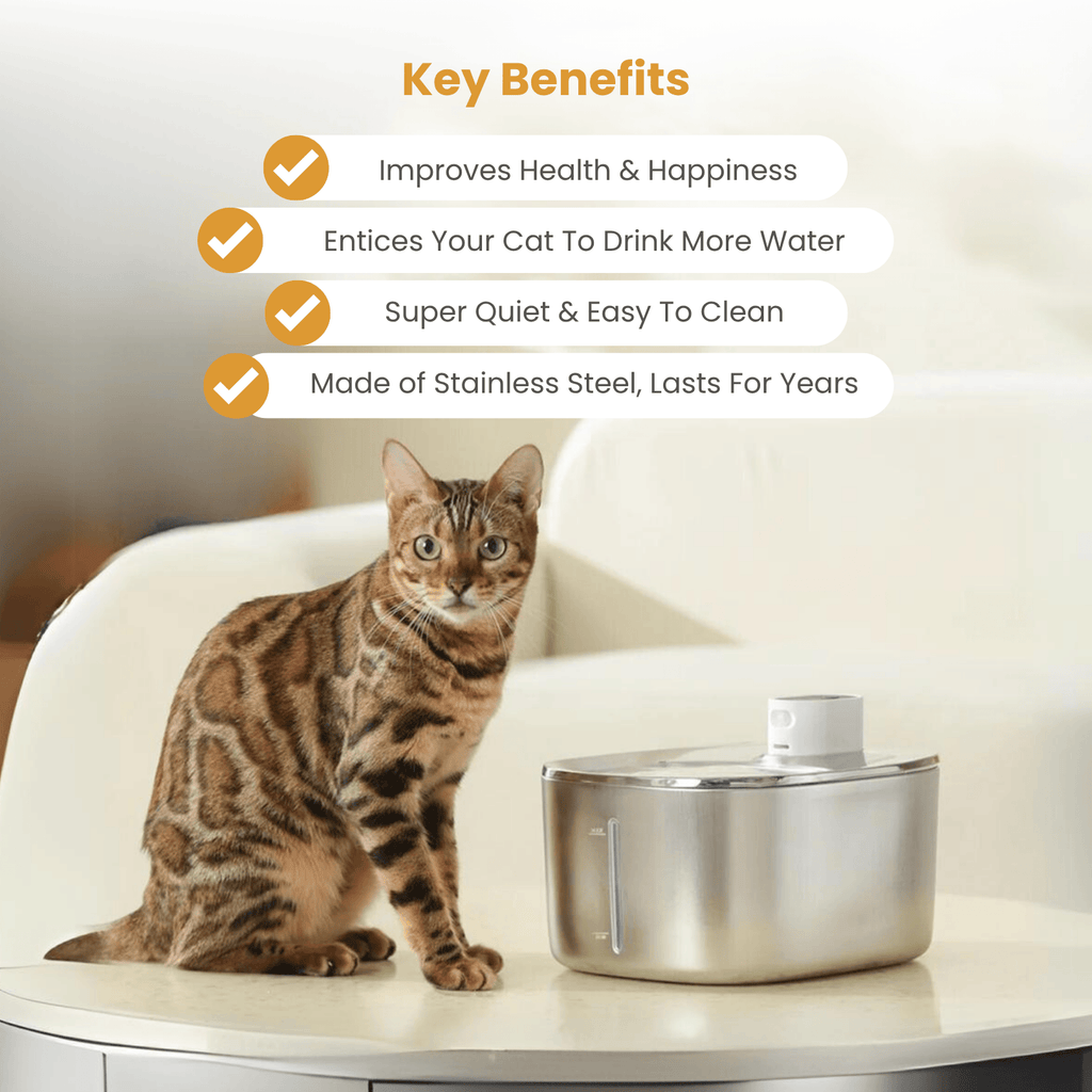 The KittySpout™ - Wireless Fountain