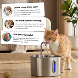 Der KittySpout™ – 2,2-Liter-Brunnen – 2-Monats-Kit thumbnail