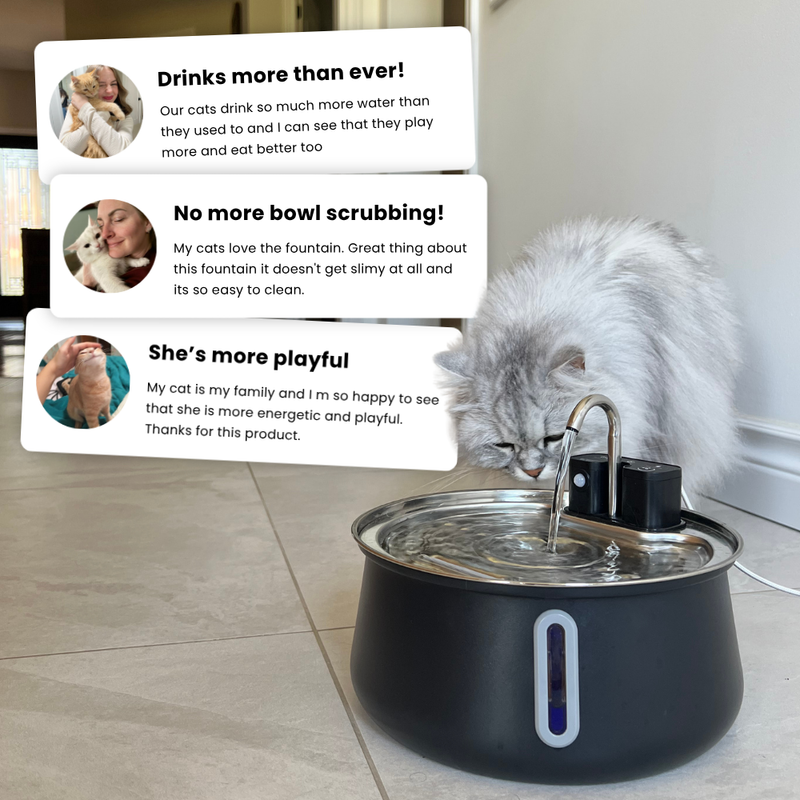 Der KittySpout™ – kabelloser Trinkbrunnen 2.0