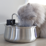 Der KittySpout™ – kabelloser Trinkbrunnen 2.0 thumbnail