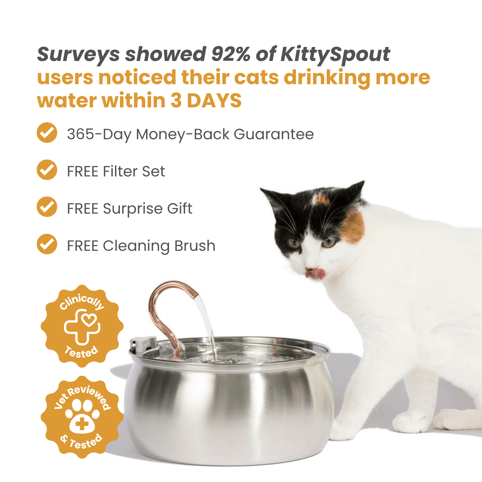 KittySpout™