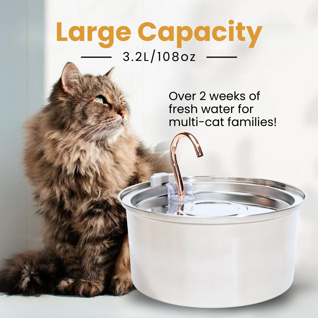 The KittySpout™ 3.2L - Health & Happiness Cat Kit