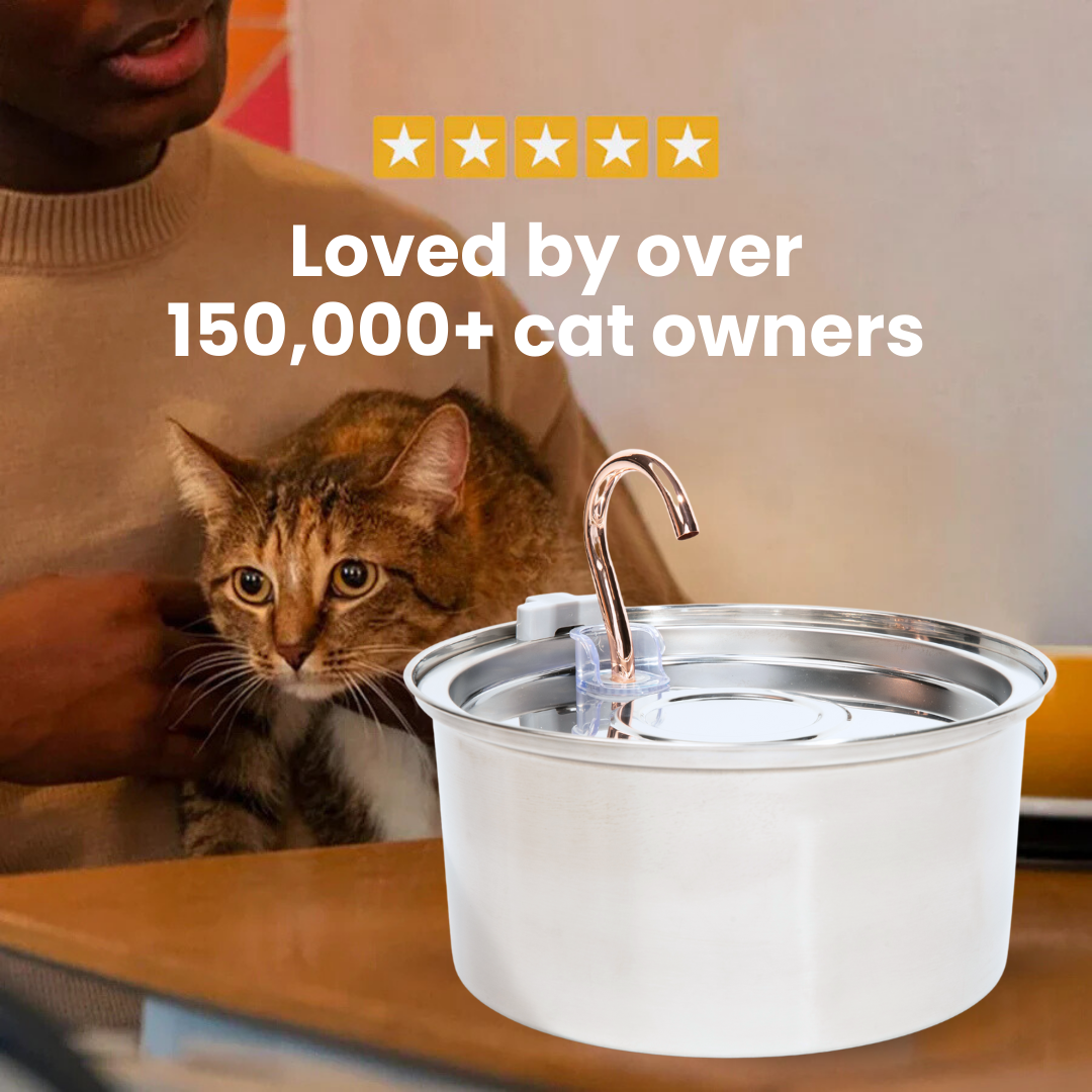 The KittySpout™ 3.2L - Health & Happiness Cat Kit