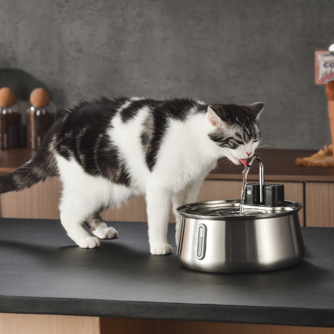 The KittySpout™ - Wireless Fountain 2.0