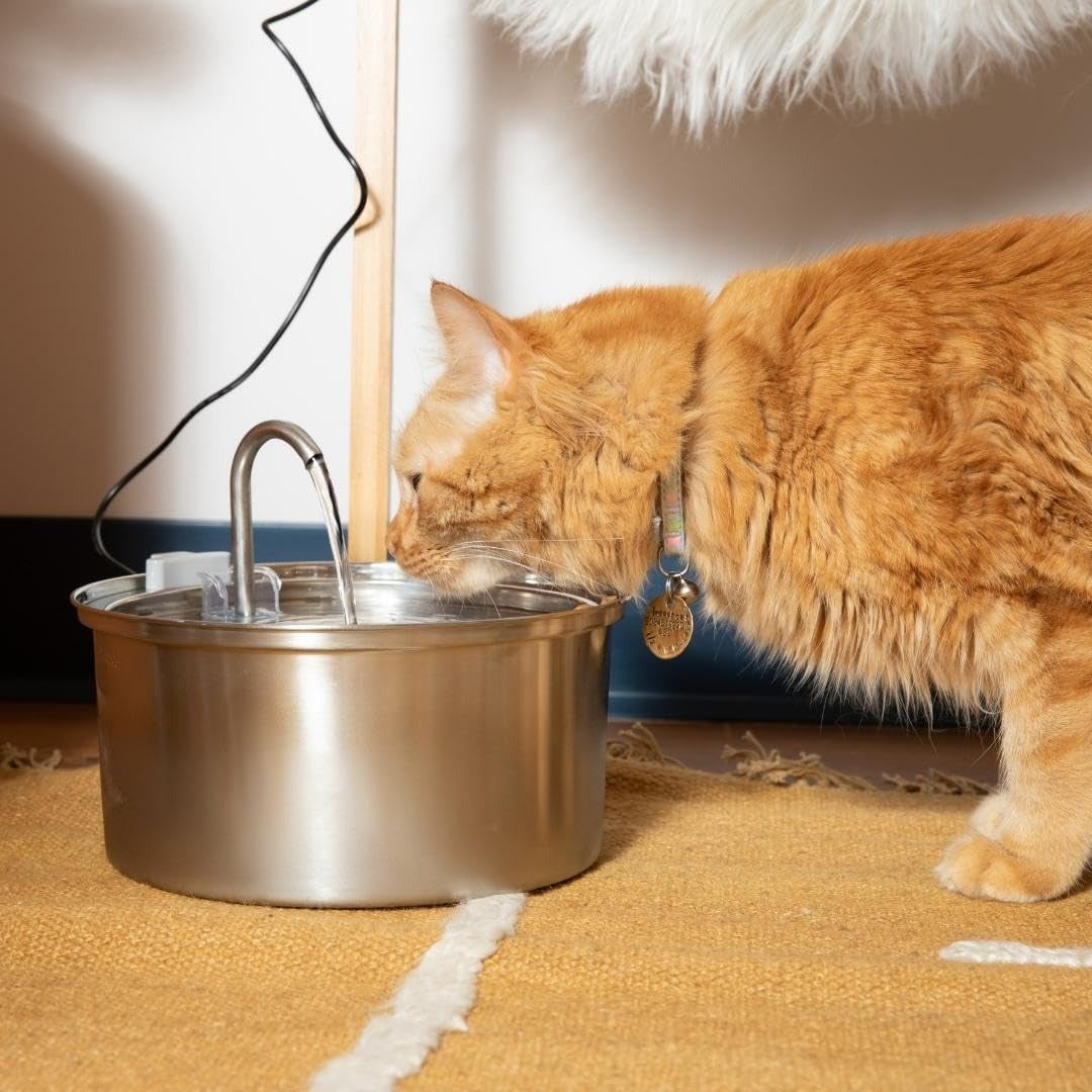 Pre-Owned KittySpout MFM001 Stainless Steel Cat Water Fountain, 3.2L