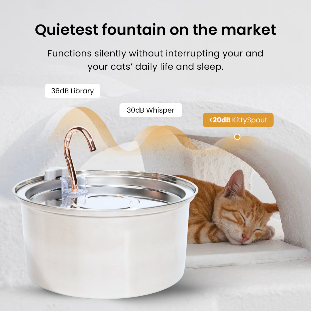 The KittySpout™ 3.2L - Health & Happiness Cat Kit