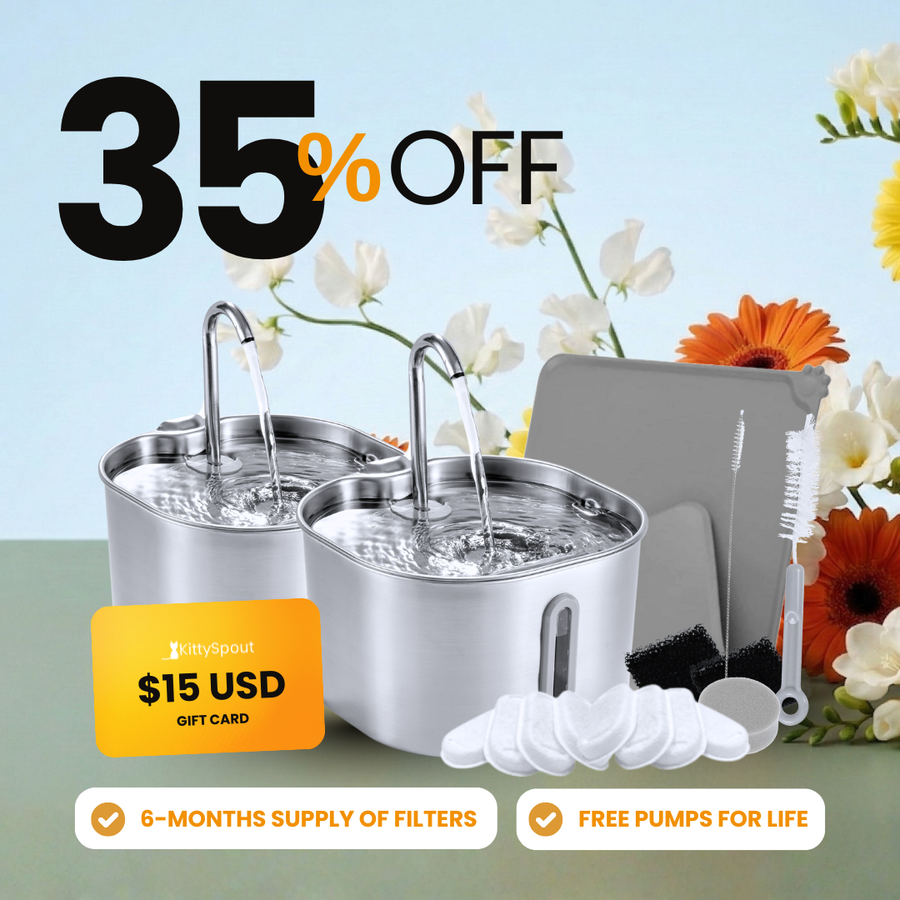 The KittySpout™ - 2.2L Big Cat Family Bundle