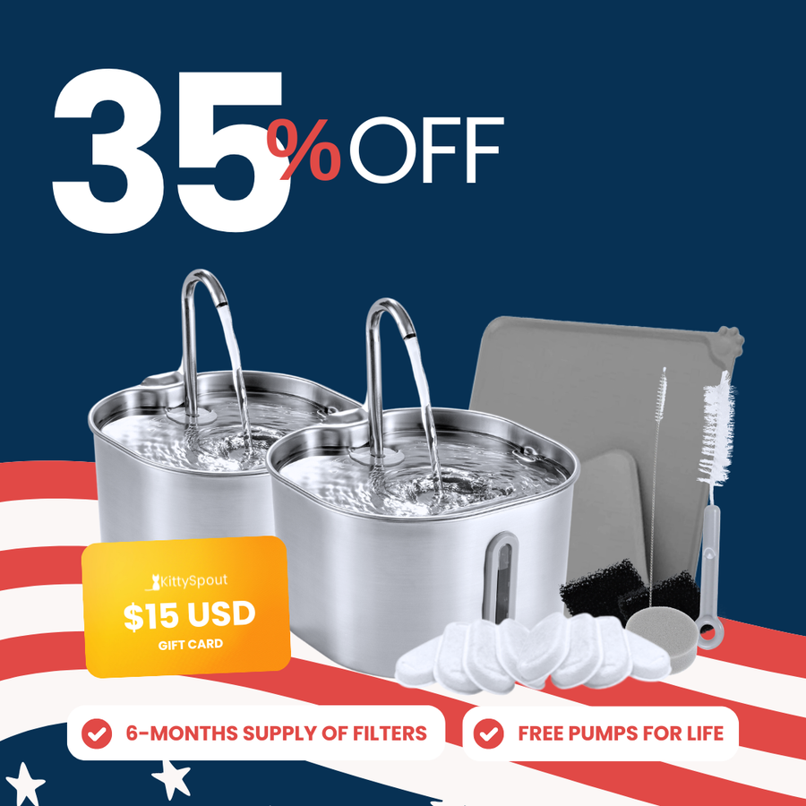 The KittySpout™ - 2.2L Big Cat Family Bundle