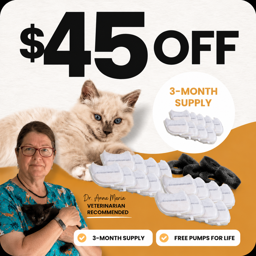 3-Month Filter Pack