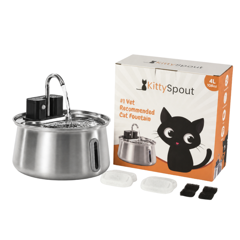 Ready to Improve Your Cat’s Hydration? Try KittySpout™ Risk-Free Today