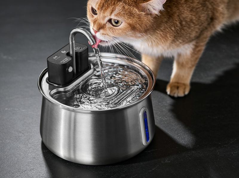 Built to Eliminate Whisker Fatigue