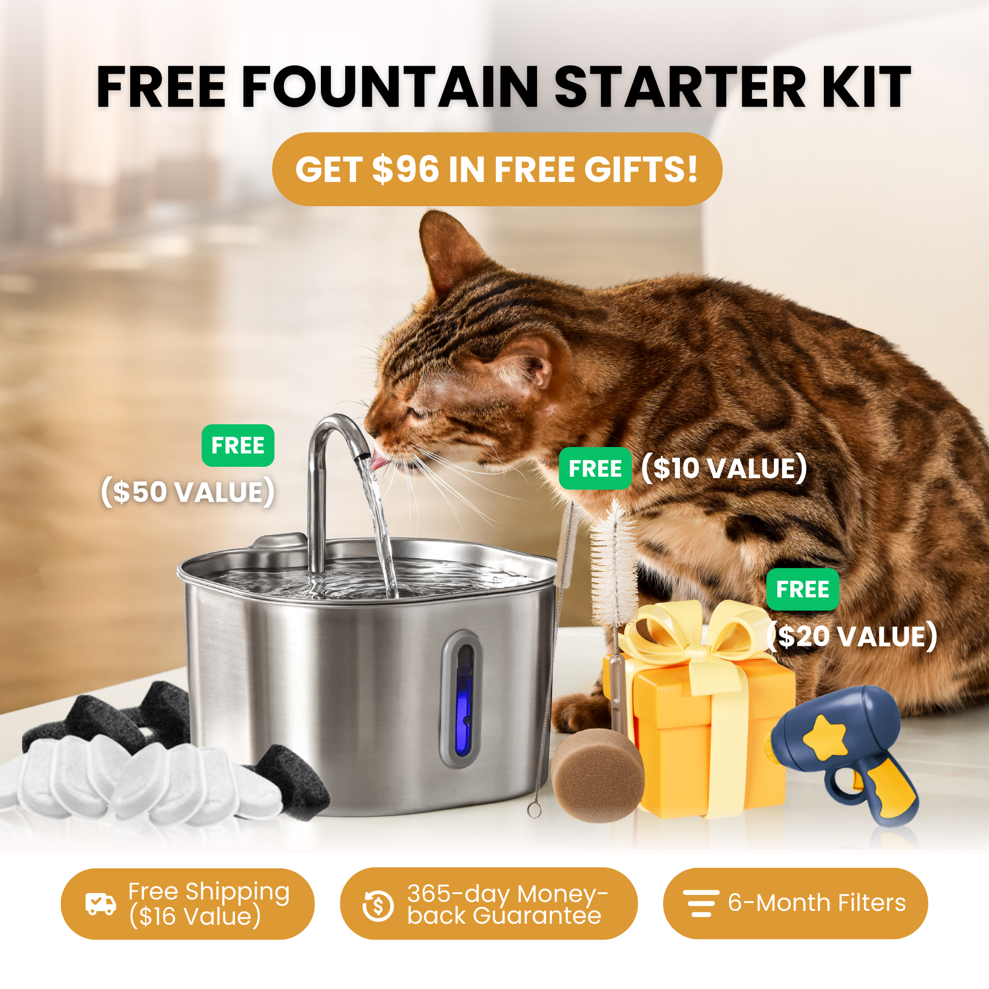 KittySpout Free Fountain Starter — 6 Months of Filters + Free Shipping