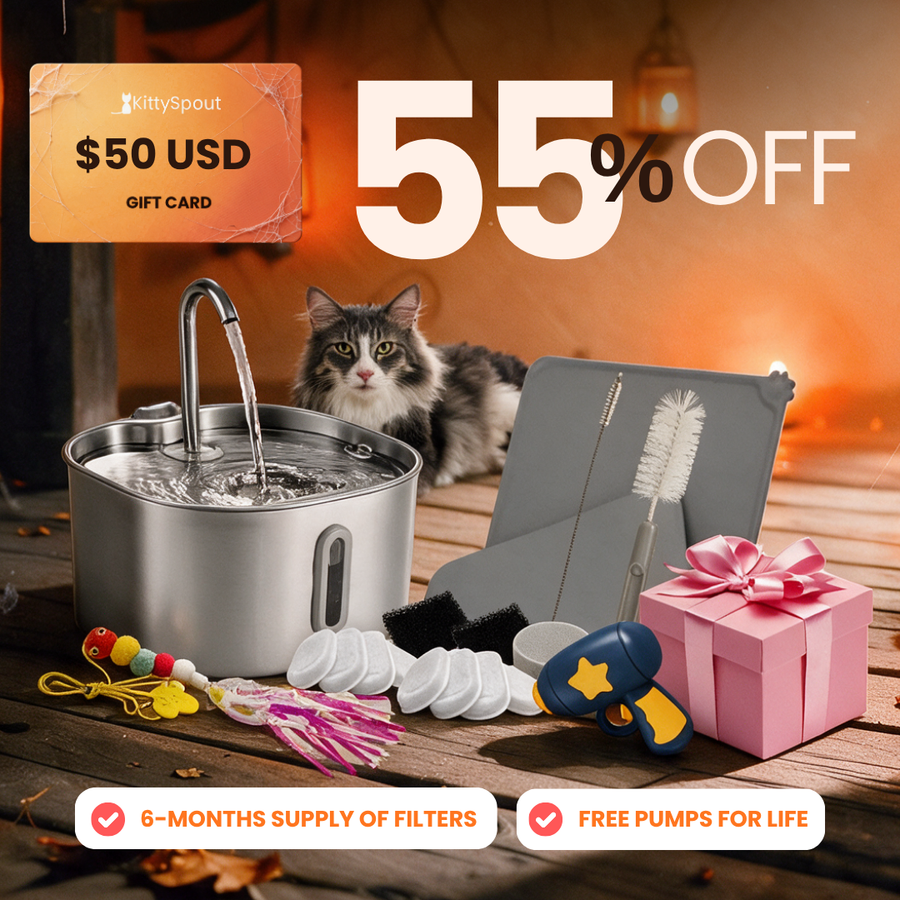 kittyspout-value-bundle flash sale bundle