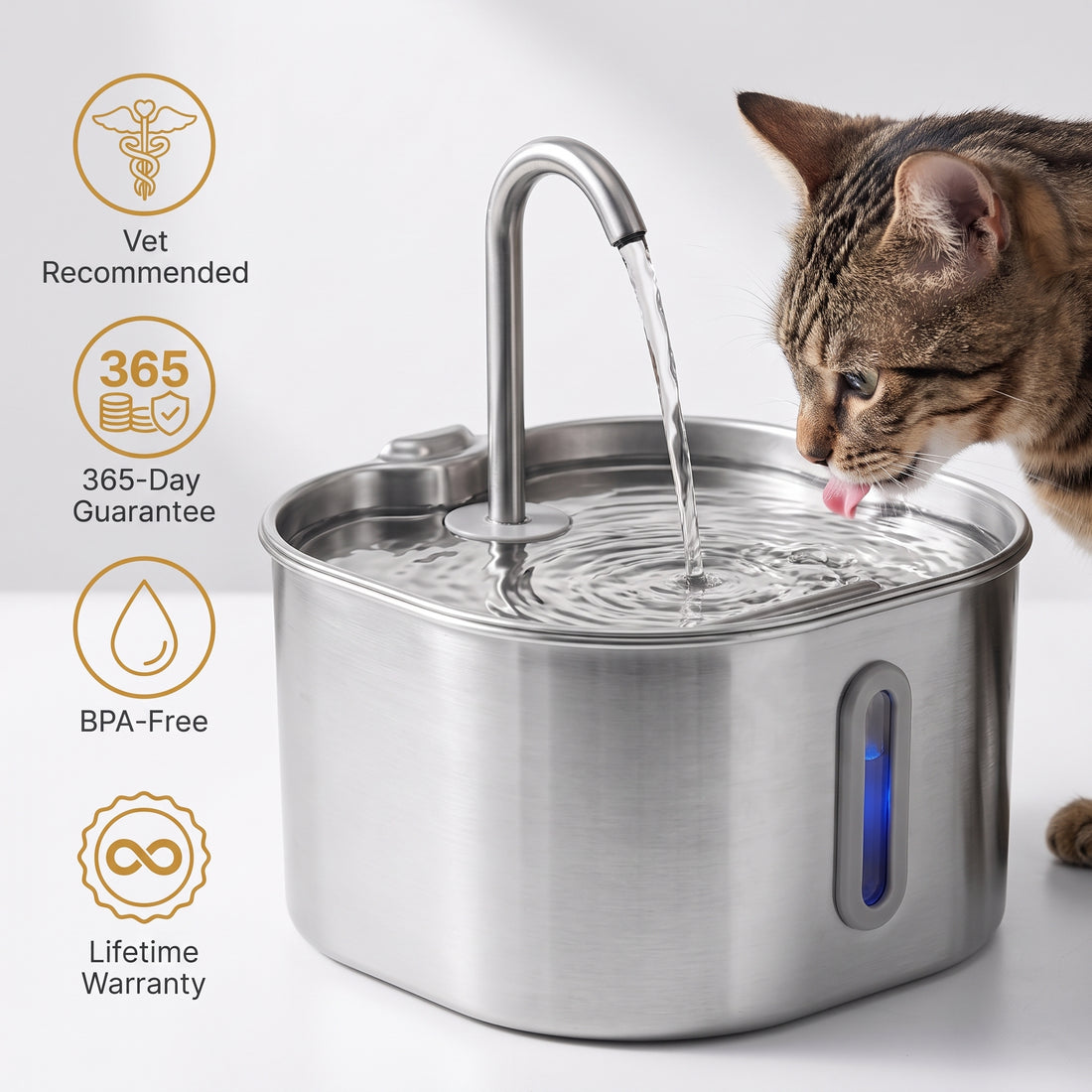 A veterinarian with a cat beside a KittySpout fountain