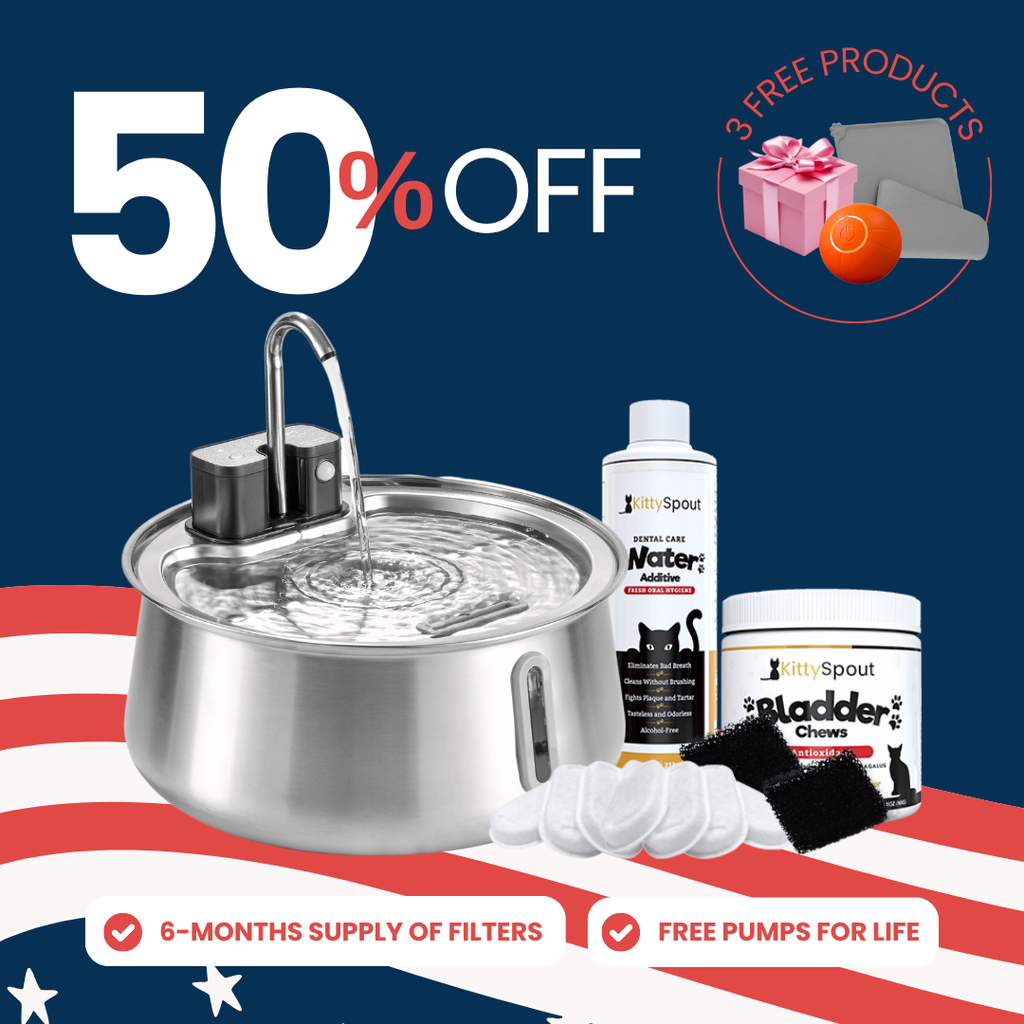 Wireless 2.0 Hydration & Health Bundle