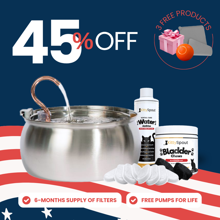 Hydration & Health Bundle