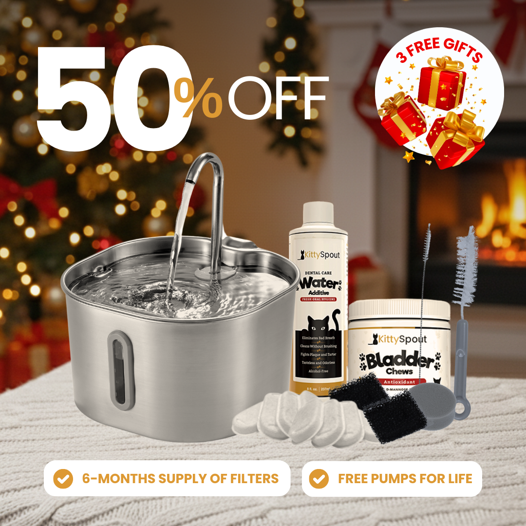 The KittySpout™ - 2.2L Hydration & Health Bundle