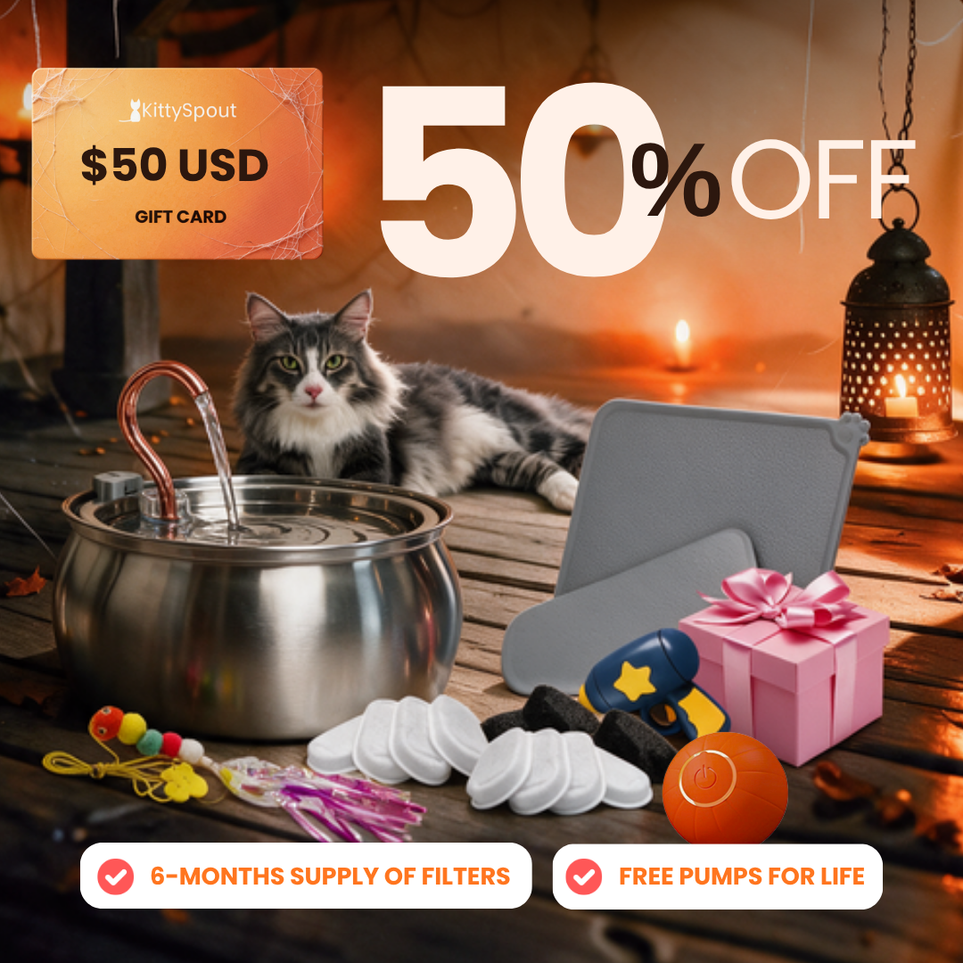 Hydration & Playtime Value Bundle