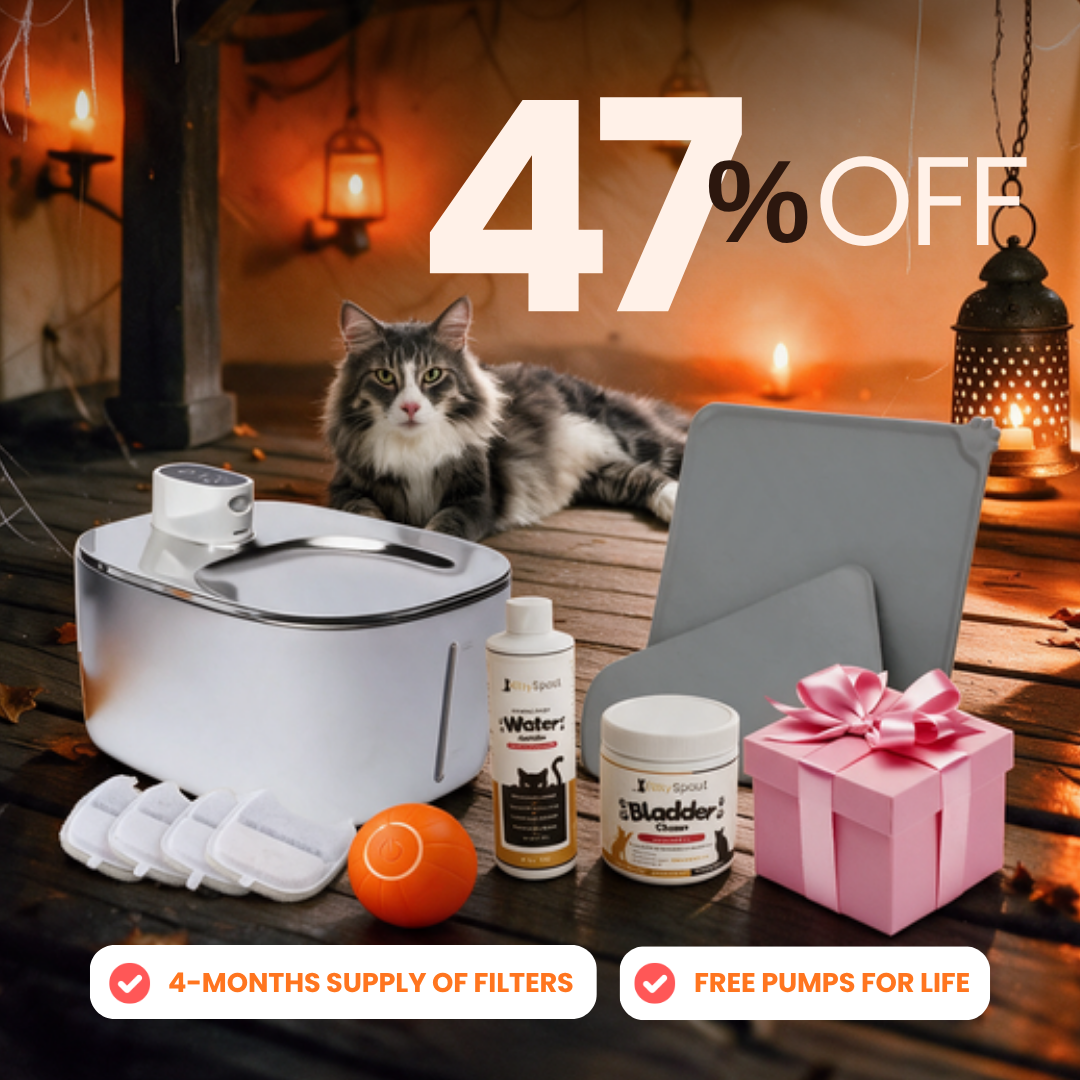 Hydration & Health Bundle