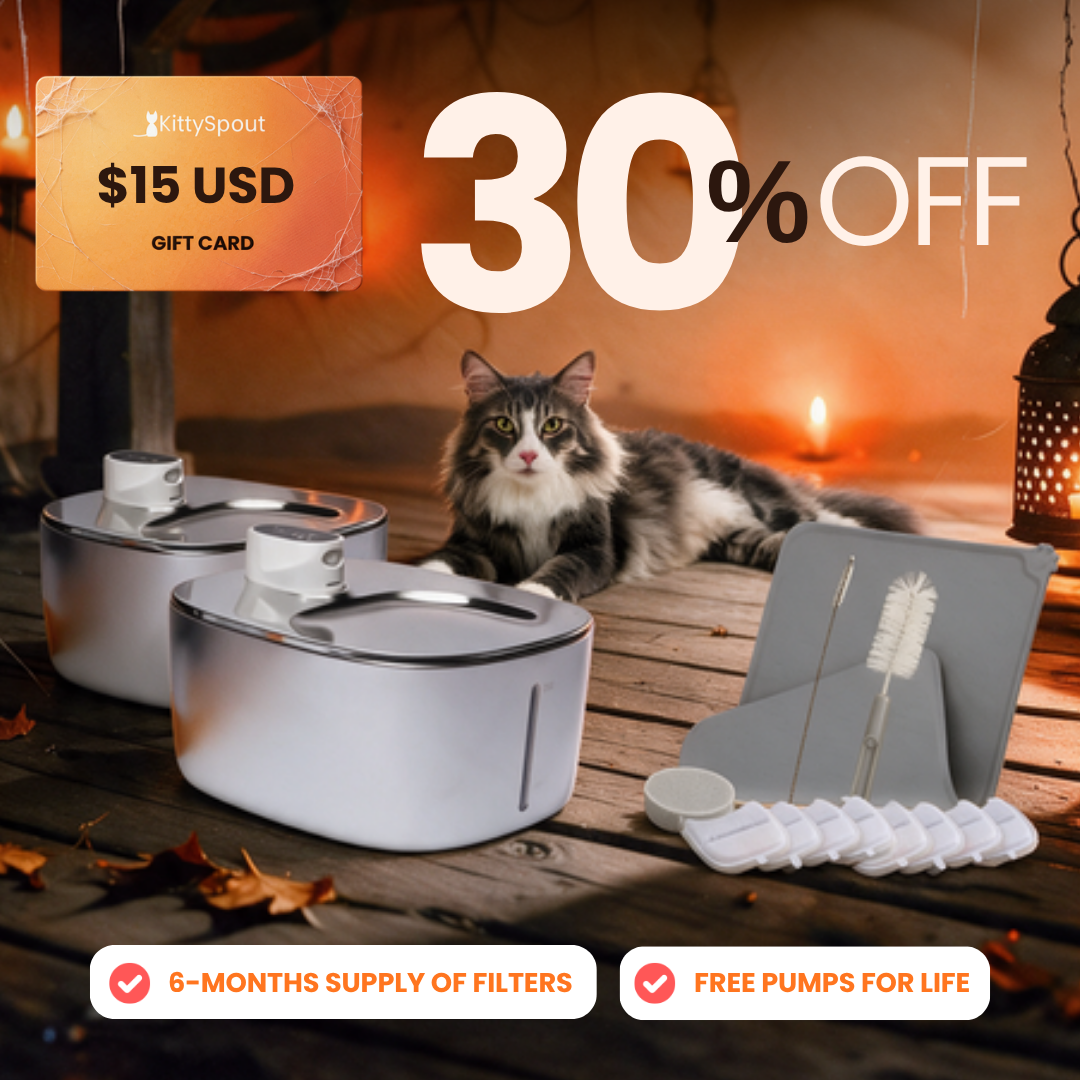 Big Cat Family Bundle