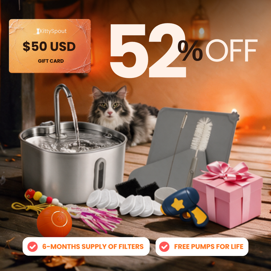Hydration & Playtime Value Bundle