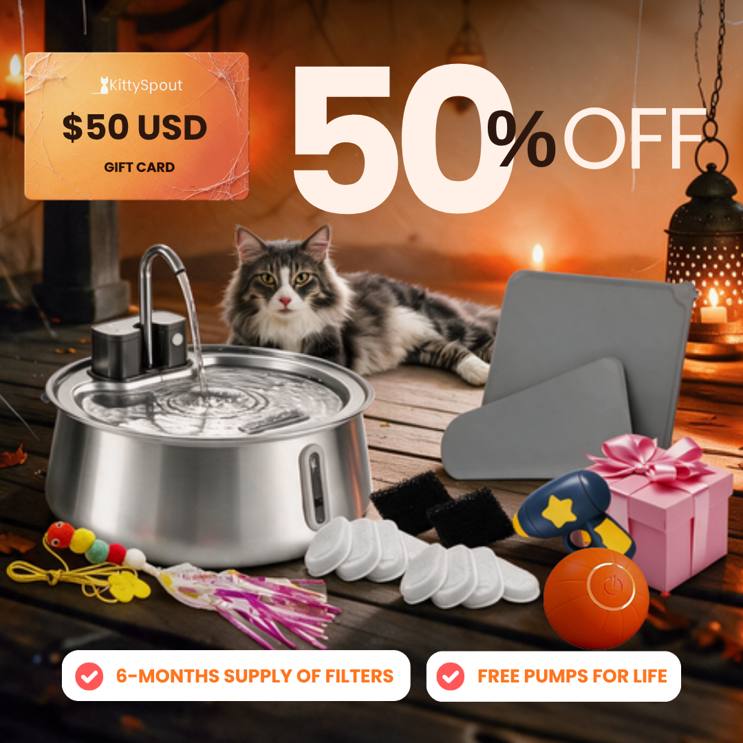 Hydration & Playtime Value Bundle