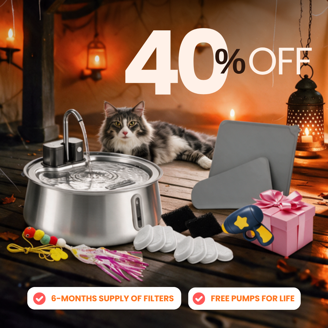 Purrrfect KittySpout Kit