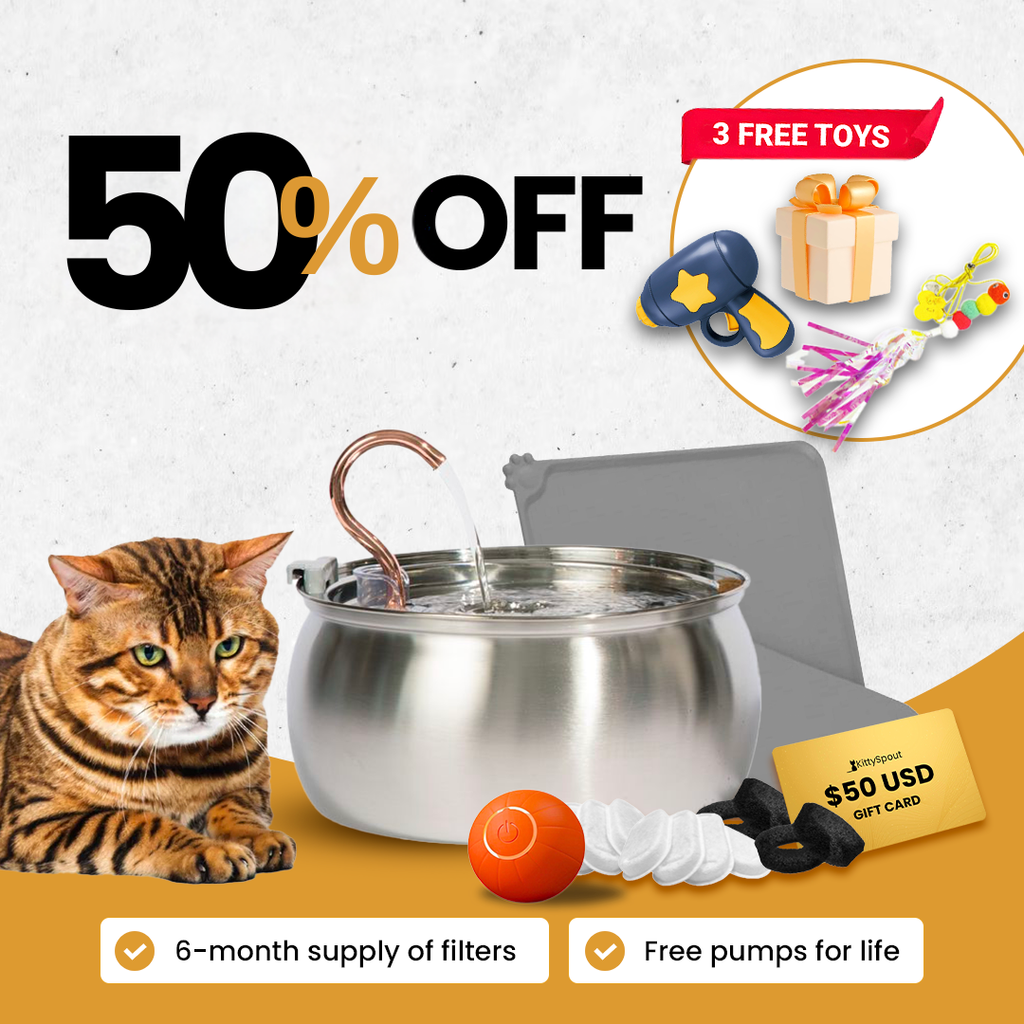 Hydration & Playtime Value Bundle