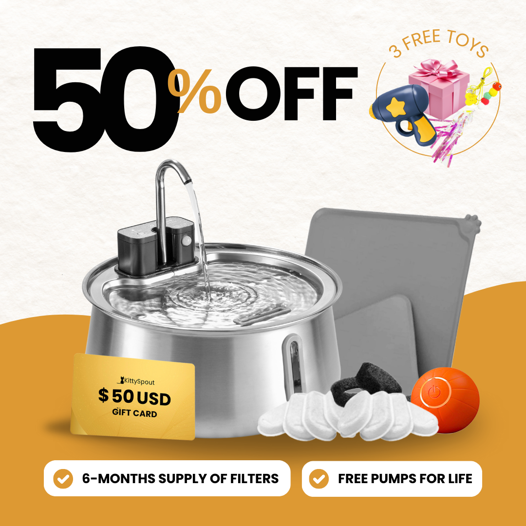 Wireless 2.0 Hydration & Playtime Value Bundle