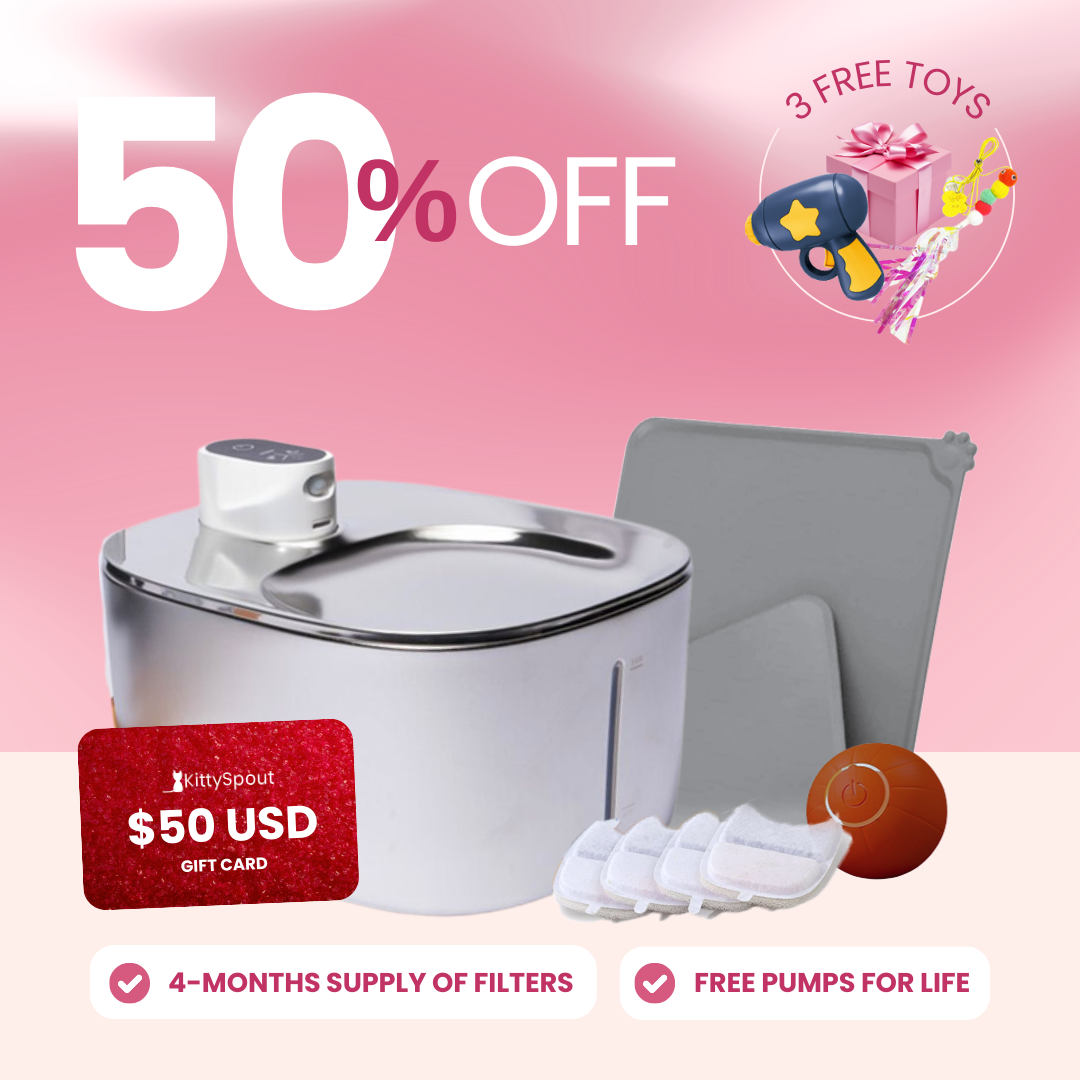 Wireless Hydration & Playtime Value Bundle