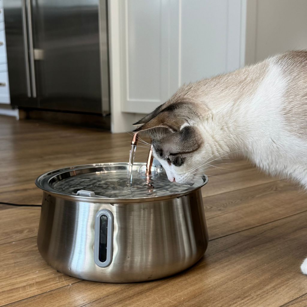 Pre-Owned The KittySpout 2.0 - Health & Happiness Cat Kit - 4 Month: KittySpout + 8 filter sets + AC adapter + FREE gift