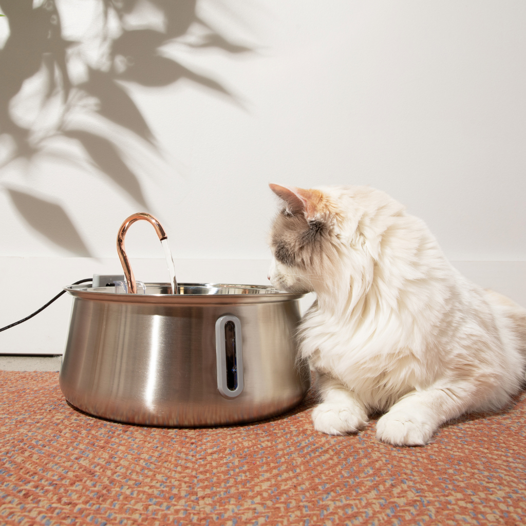 Like New The KittySpout 2.0 - Health & Happiness Cat Kit - 2 Month: KittySpout + 4 filter sets + AC adapter