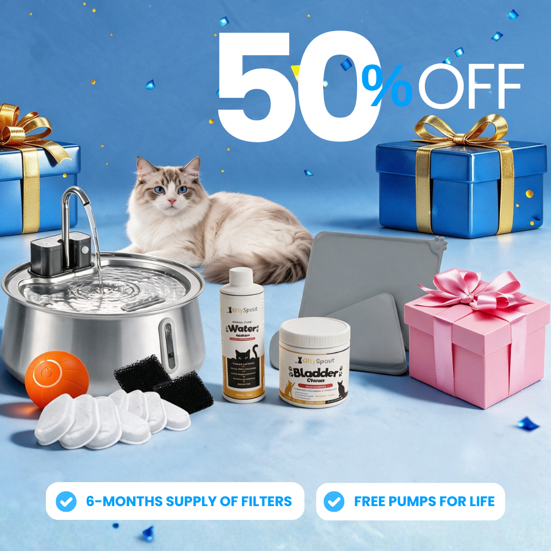 Hydration & Health Bundle