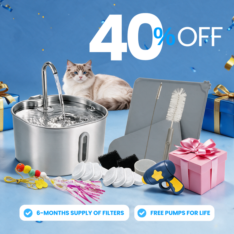 El KittySpout™ - Kit KittySpout Purrrfecto de 2.2L