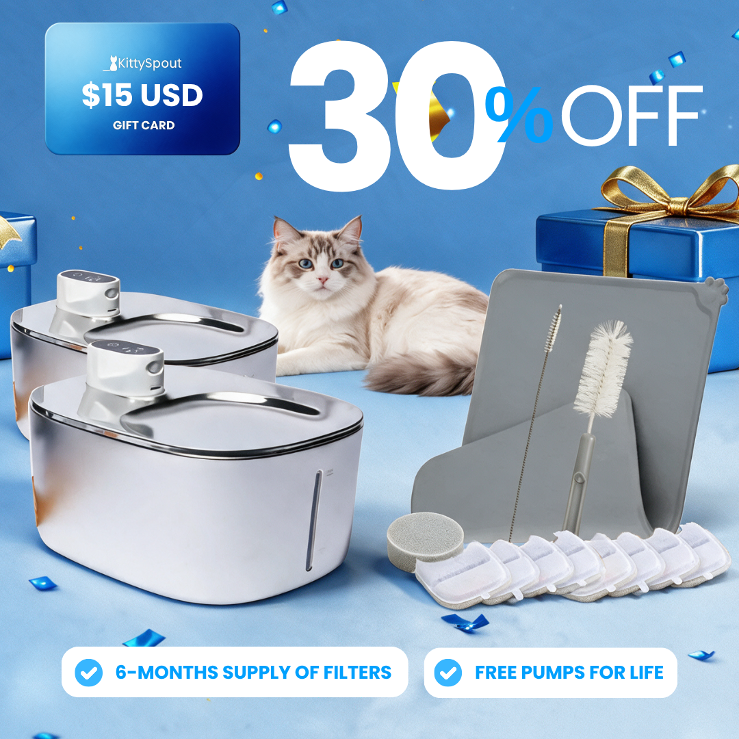 Big Cat Family Bundle