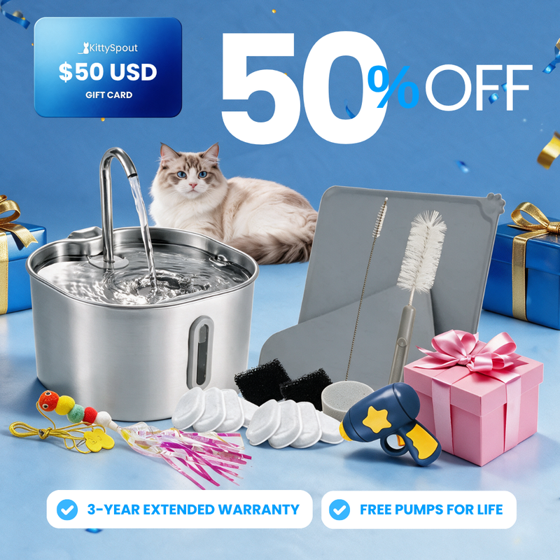 The KittySpout™ - Paquete VIP de valor de 2,2 L