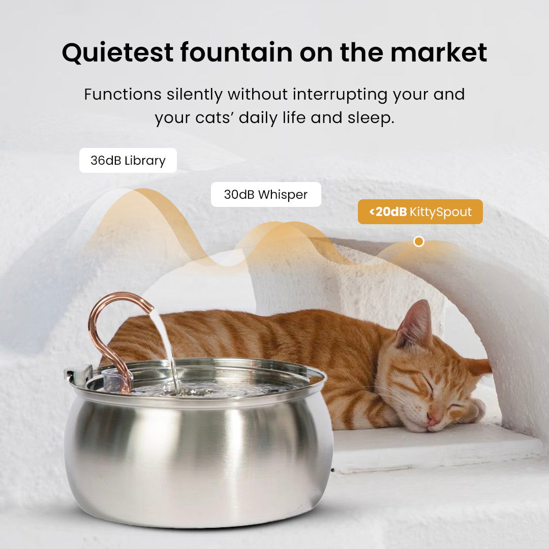 The KittySpout™ - Health & Happiness Cat Kit