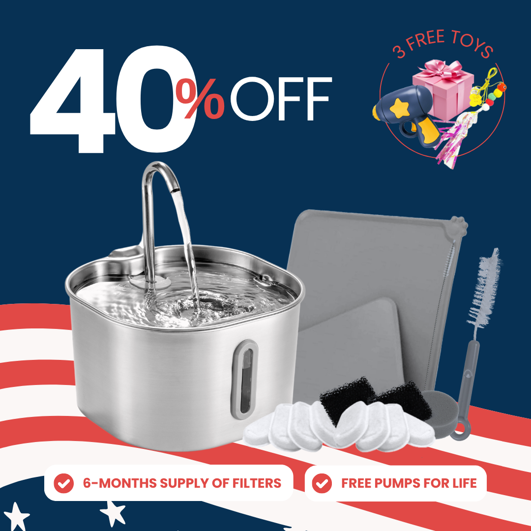The KittySpout™ - 2.2L Purrrfect KittySpout Kit