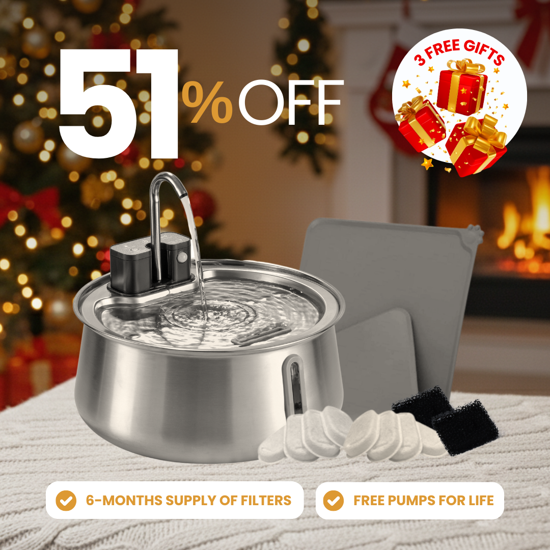 Wireless 2.0 Purrr-fect KittySpout Kit