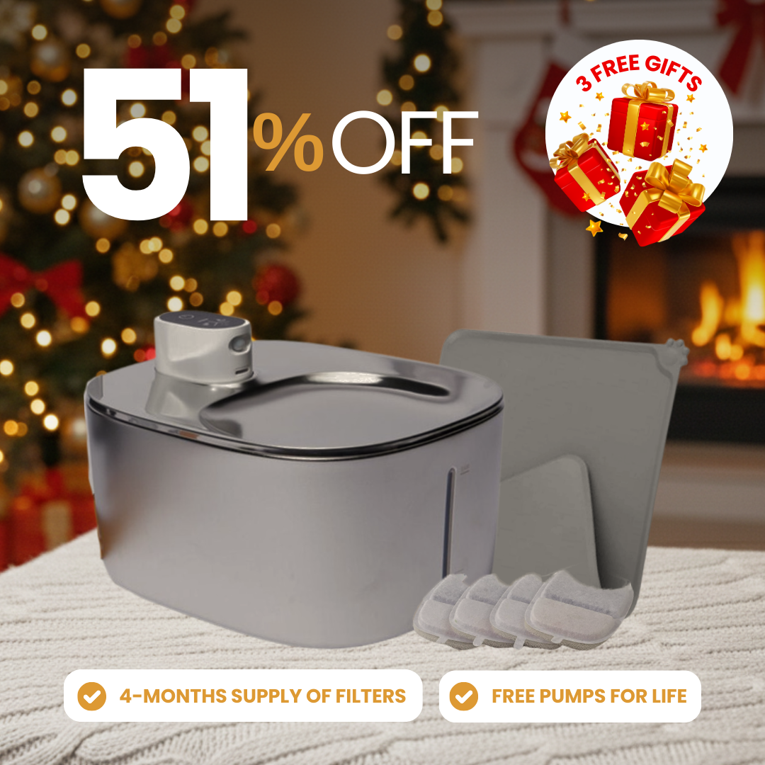 Wireless Purrr-fect KittySpout Kit